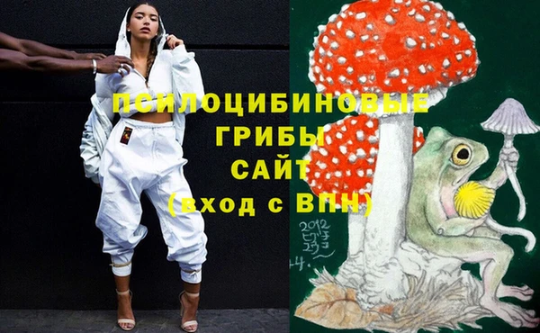 PSILOCYBIN Сосновка