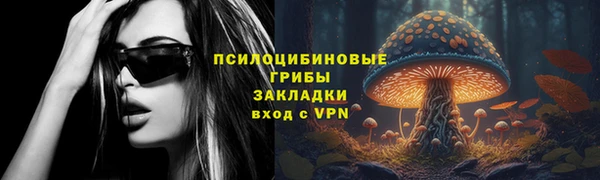 эйфоретик Белокуриха