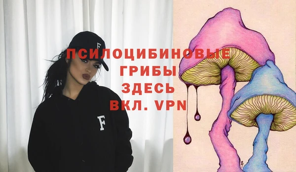 синтетический гашиш Богородицк