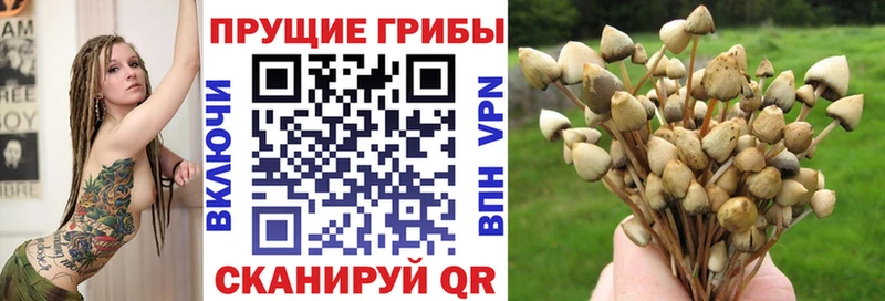 omg ТОР  где купить наркоту  Кизилюрт  Галлюциногенные грибы MAGIC MUSHROOMS 